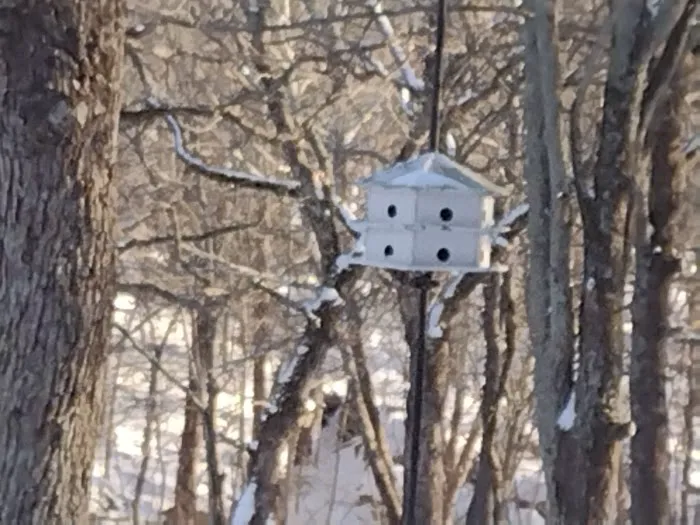Savannah's ,woods and Water ,Outside Wedding Venue as well, Jacuzzi Cabins, Catoosa ok. area. Picture 5