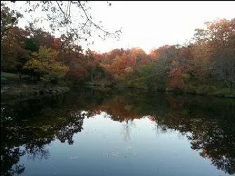 Savannah's ,woods and Water ,Outside Wedding Venue as well, Jacuzzi Cabins, Catoosa ok. area. Picture 7