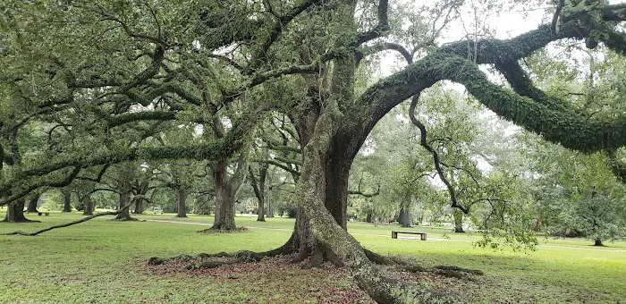 Oakview Bed and Breakfast Picture 10