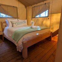 Glamping Tents at Camp Margaritaville at Lanier Islands ico