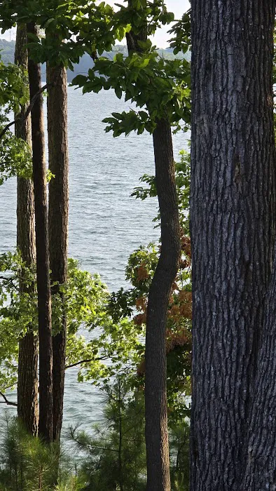 Cabins at Camp Margaritaville RV Resort Lanier Islands Picture 10