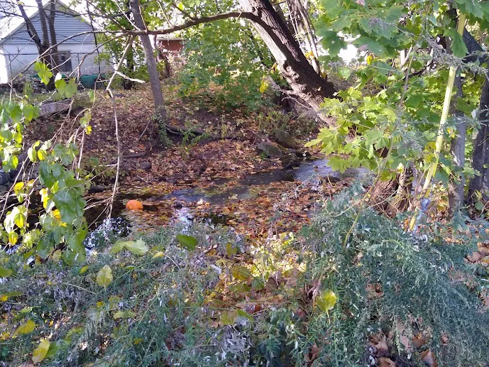 Costa Mobile Home Park Picture 6