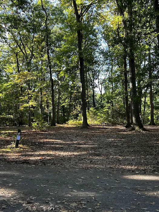 Family Camping Area Picture 1