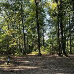Family Camping Area