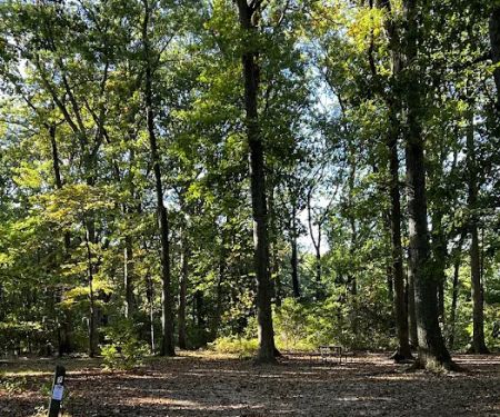 Family Camping Area