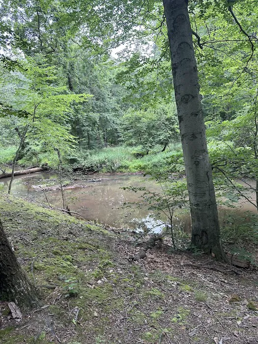 Thompson Park Scout Reservation Picture 6