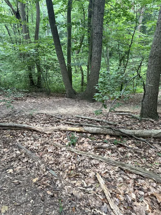 Thompson Park Scout Reservation Picture 1