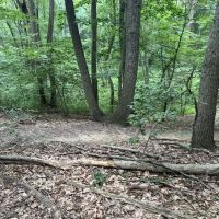 Thompson Park Scout Reservation ico