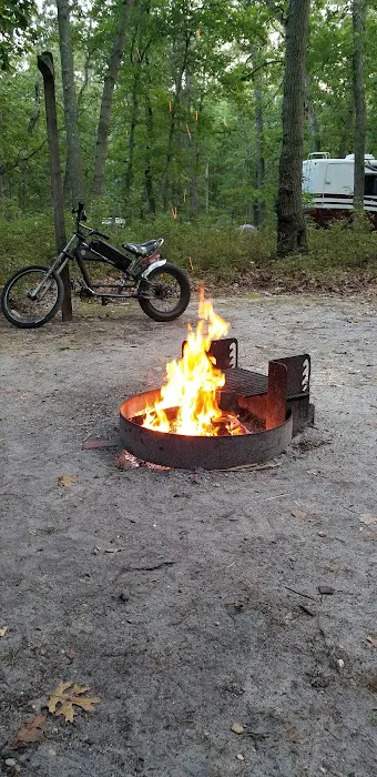 Turkey Swamp Campground Picture 4
