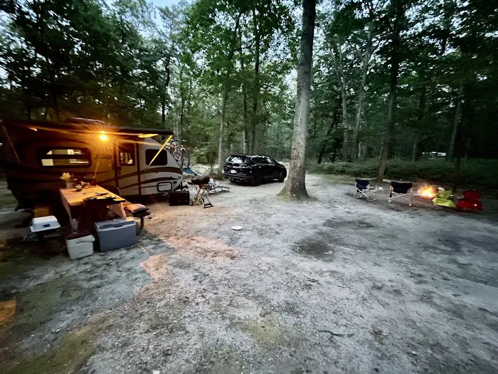 Turkey Swamp Campground Picture 1