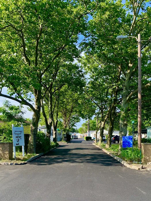 Brookside Mobile Estates Picture 7