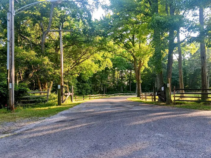 Allaire State Park Campground Picture 2
