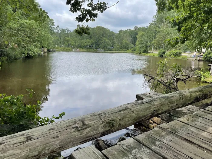 Timberland Lake Campground Picture 8