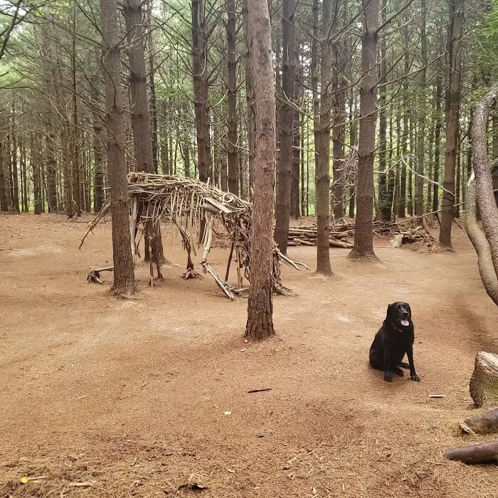 Allaire State Park Group Campsite Picture 1