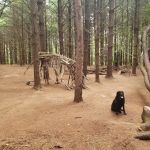 Allaire State Park Group Campsite