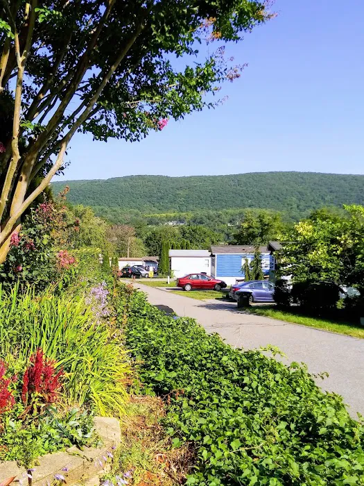 Hudson View Terrace Picture 4