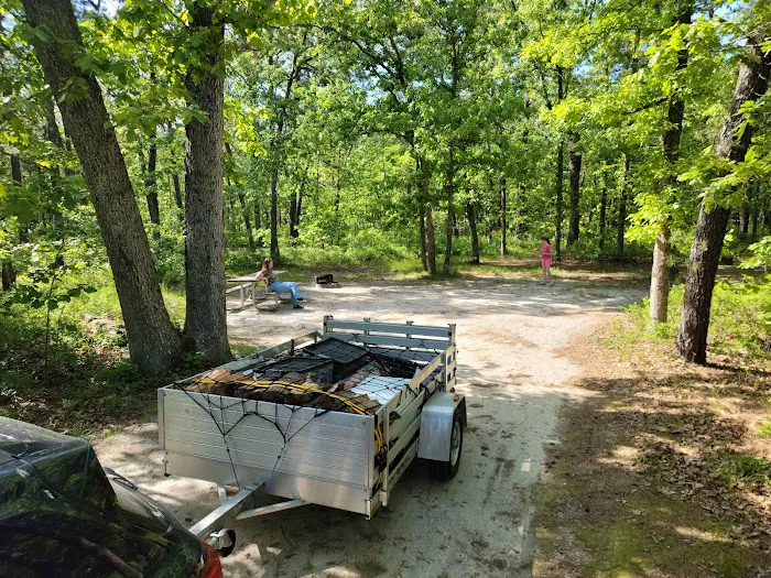 Brendan T Byrne State Forest Campground Picture 1