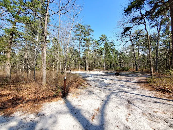 Brendan T Byrne State Forest Campground Picture 3