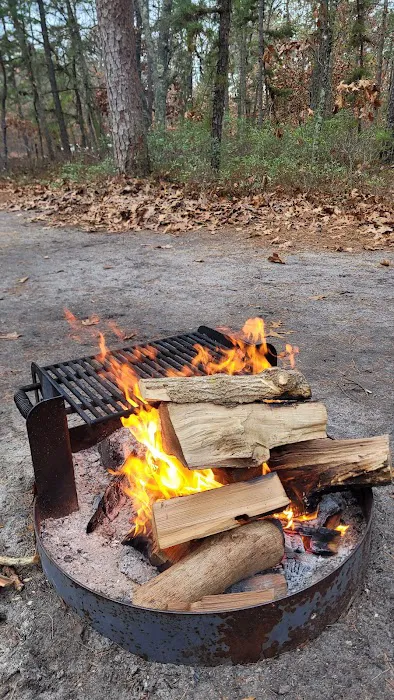 Brendan T Byrne State Forest Campground Picture 4