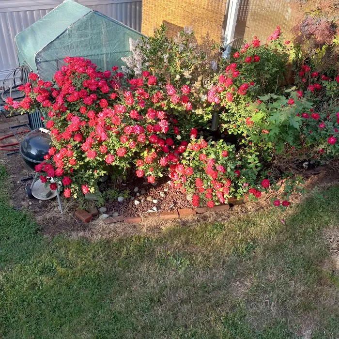 Friendly Mobile Park Picture 3