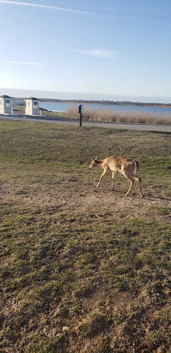 Smith Point County Park Campground Picture 4