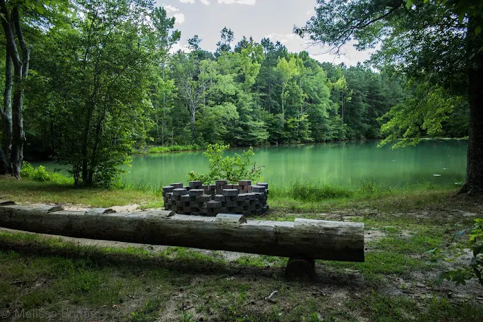 Crystal Springs Wilderness Lodges & RV Resort Picture 1