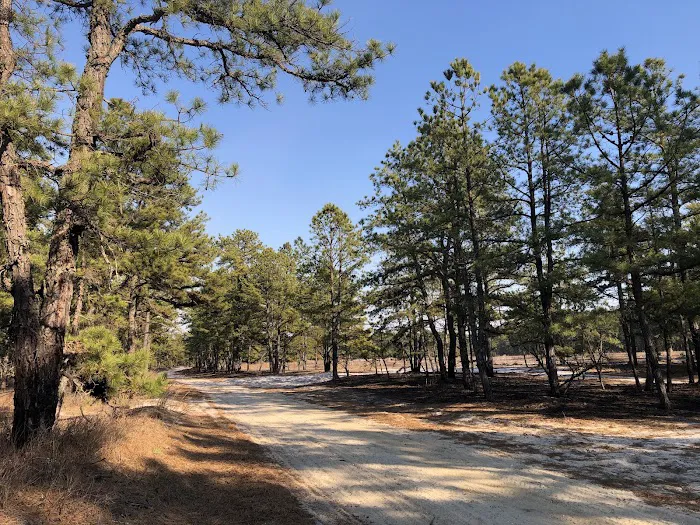 Batona Campground Picture 2