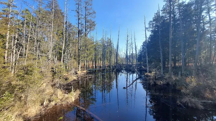 Batona Campground Picture 3