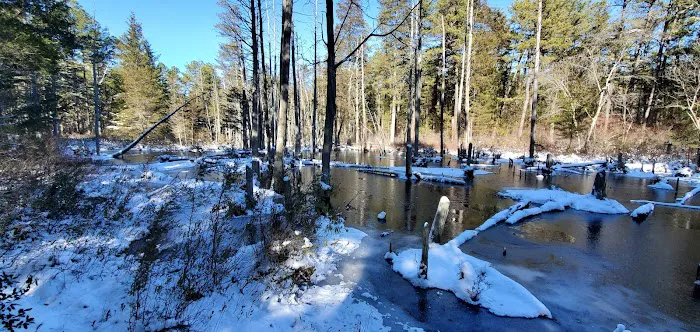 Batona Campground Picture 10