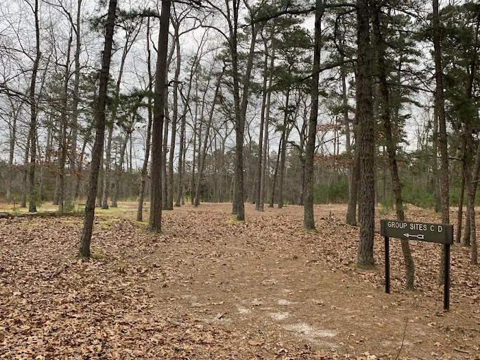 Hawkins Bridge Campground Picture 1