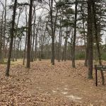 Hawkins Bridge Campground
