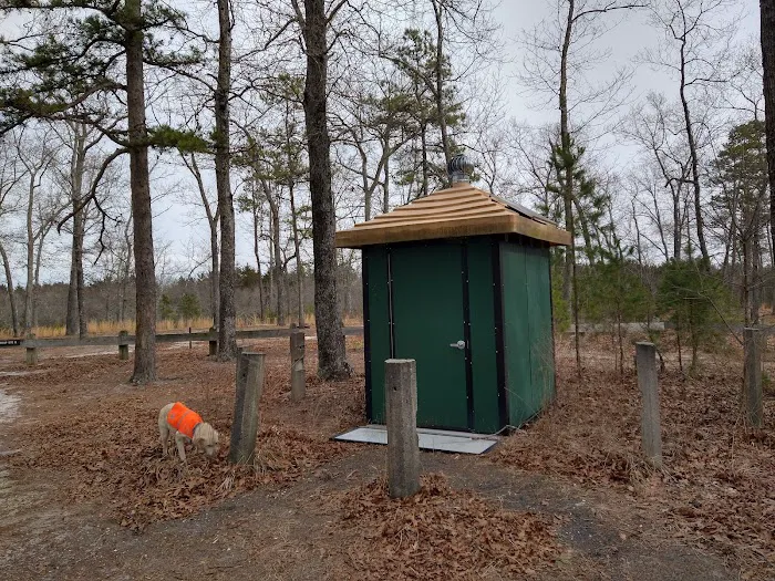 Hawkins Bridge Campground Picture 5
