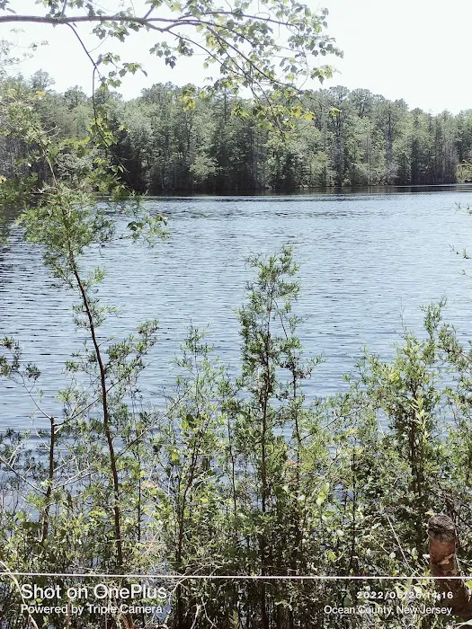 Brookville Campgrounds Picture 6