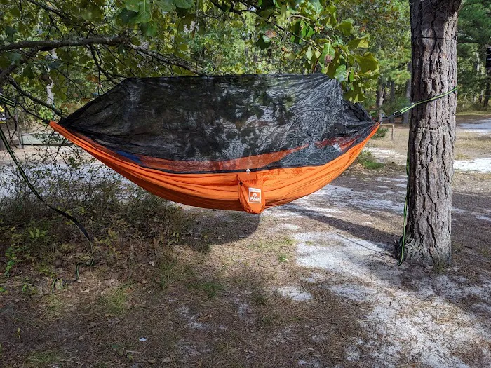 Mullica River Campground Picture 6