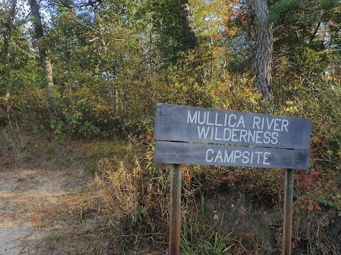 Mullica River Campground Picture 8
