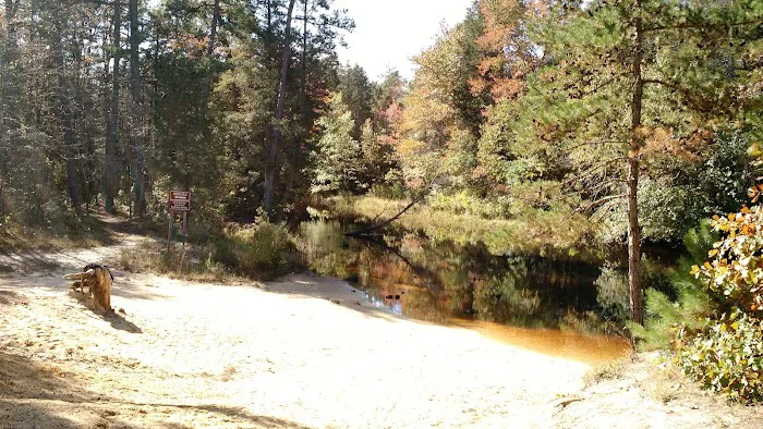 Bodine Field Campground Picture 6