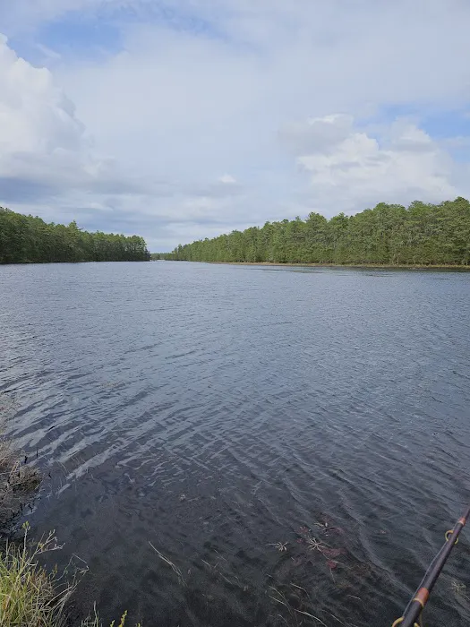 Bodine Field Campground Picture 5