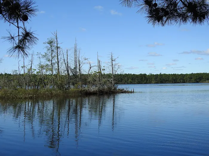 Chips Folly Family Campground Picture 6
