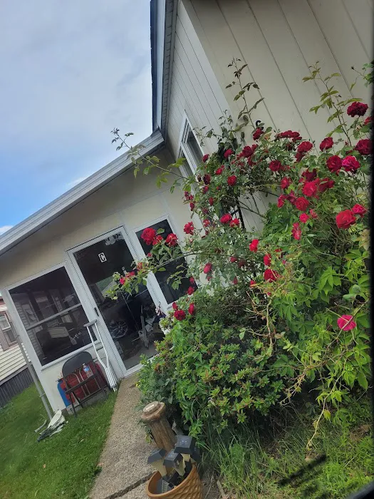 Windy Acres Picture 4