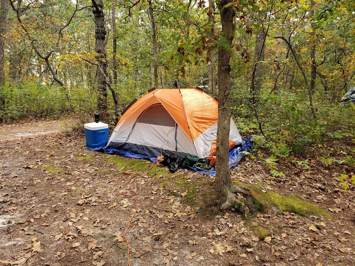 Pilgrim Lake Campgrounds Picture 6