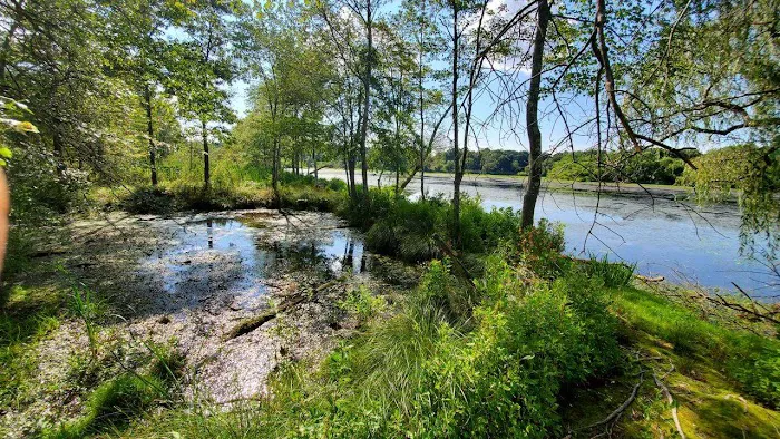 Peconic River Campground Picture 8