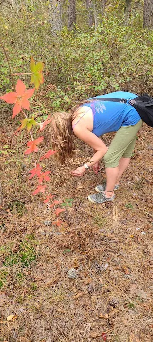 Buttonwood Hill Campsite Picture 9