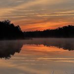 South Campground at Bass River State Forest