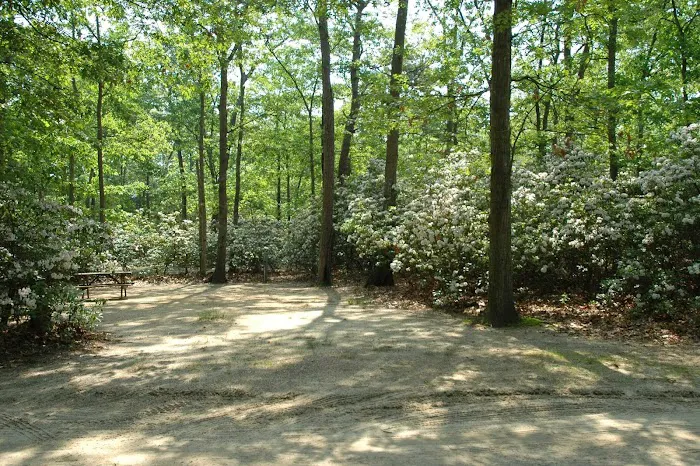Baker's Acres Campground, Inc. Picture 2