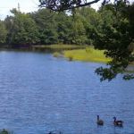 Thousand Trails Chestnut Lake