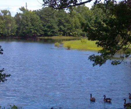 Thousand Trails Chestnut Lake