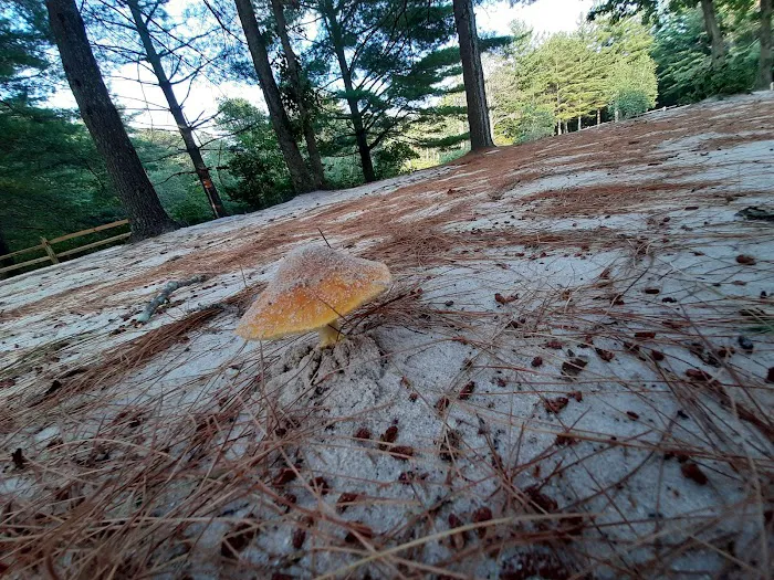 Holly Acres Campground Picture 4