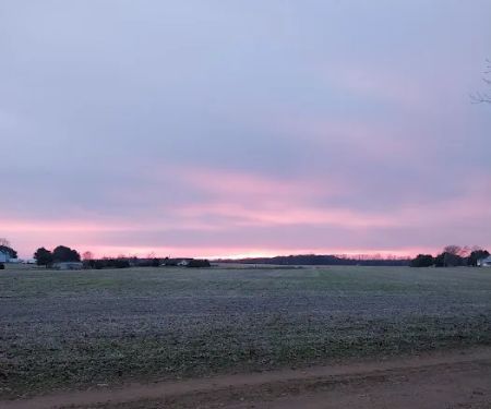 Holly Green Camping Grounds