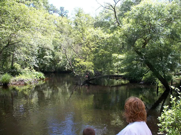 Winding River Campground Picture 6