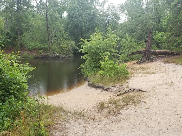 Camp Acagisca Picture 1